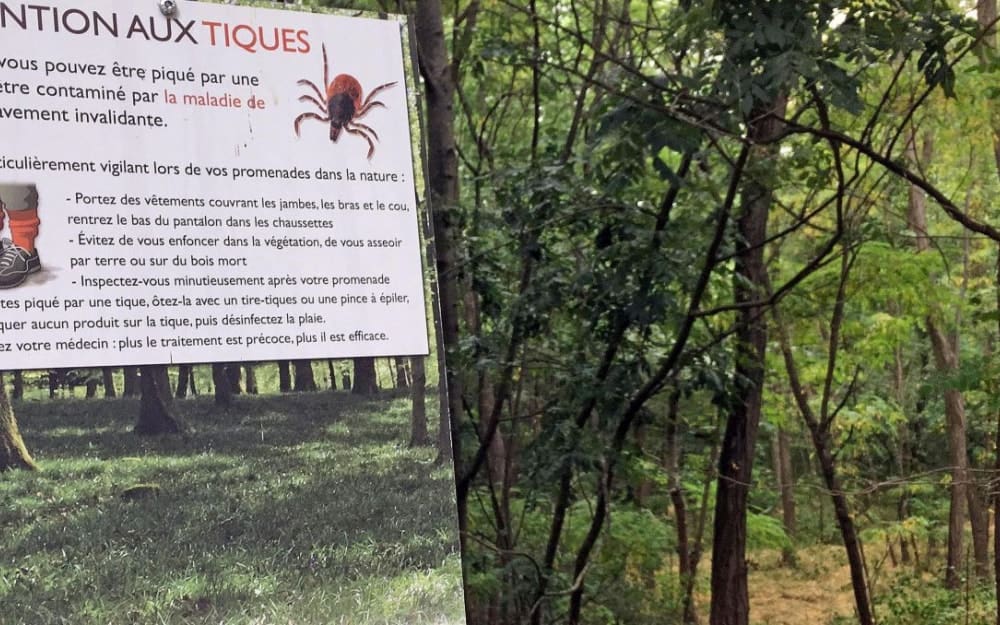 prévention maladie de lyme