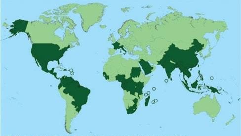 Origines du Chikungunya et zones à risque