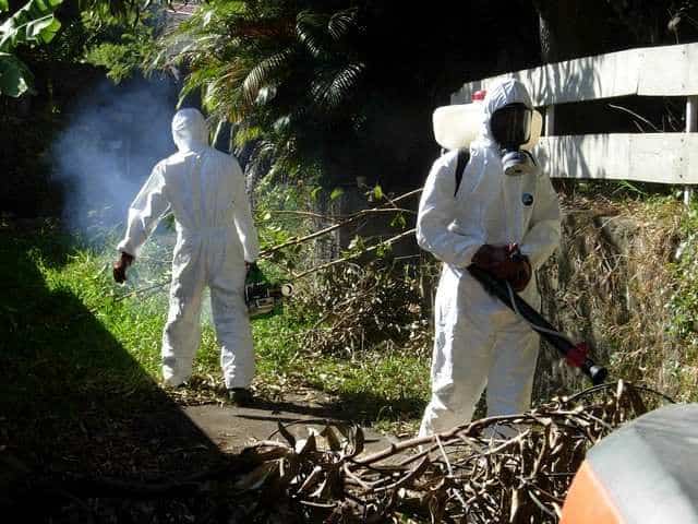 chikungunya traitement Réunion