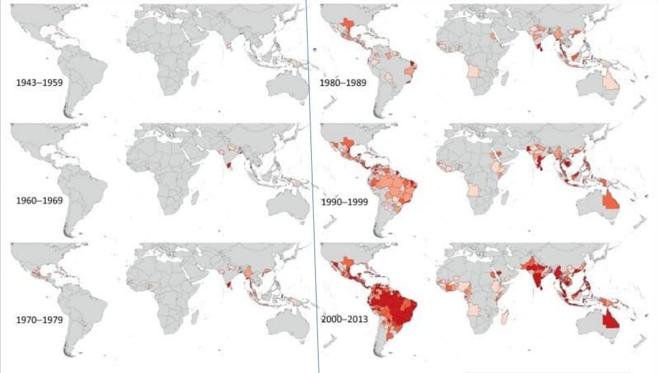 dengue moustique