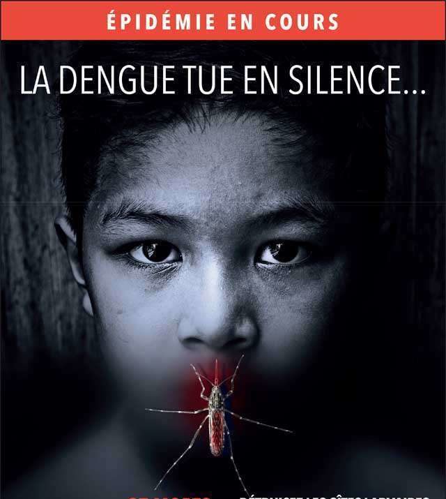 dengue réunion