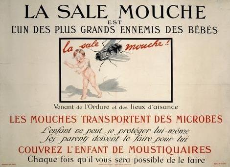 la sale mouche