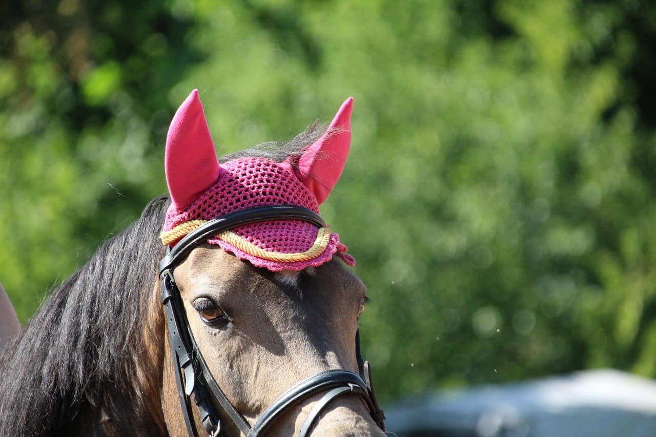 bonnet anti moustique cheval