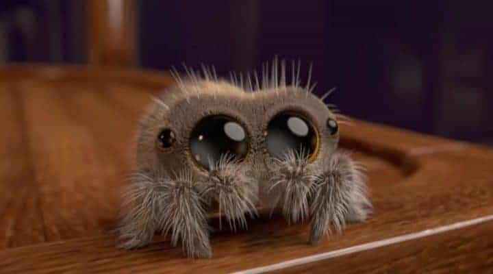 lucas the spider