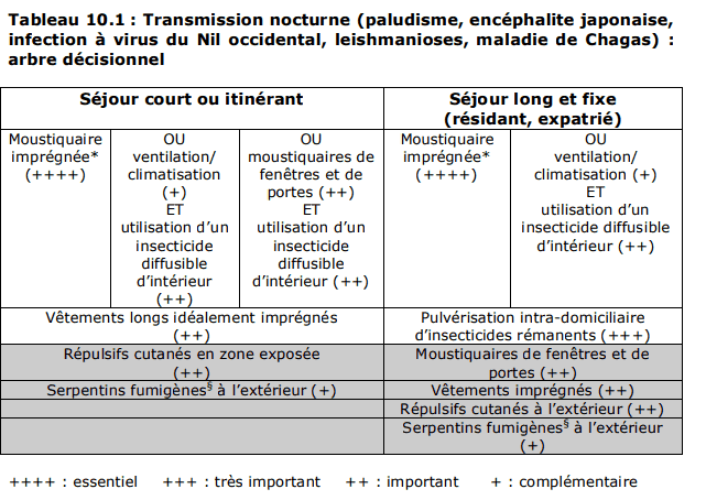 infection maladie moustique