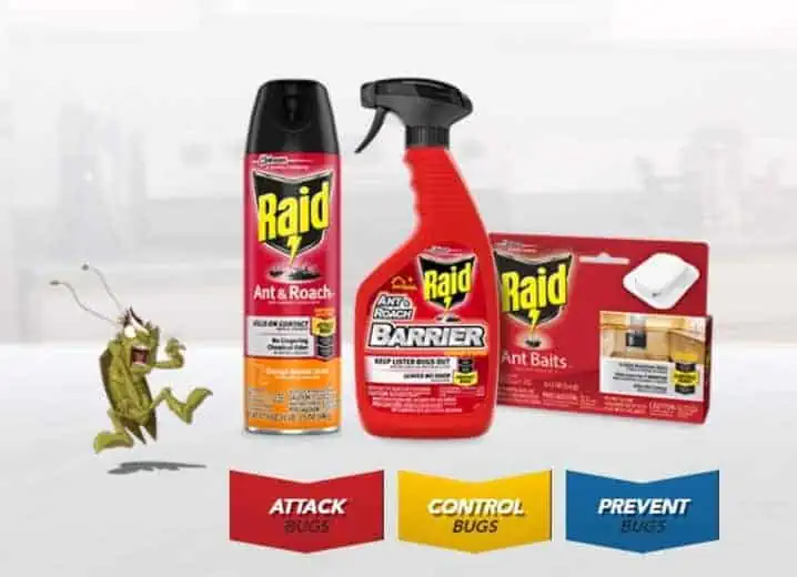 raid produits insecticide
