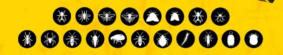 Liste d'icônes d'insectes