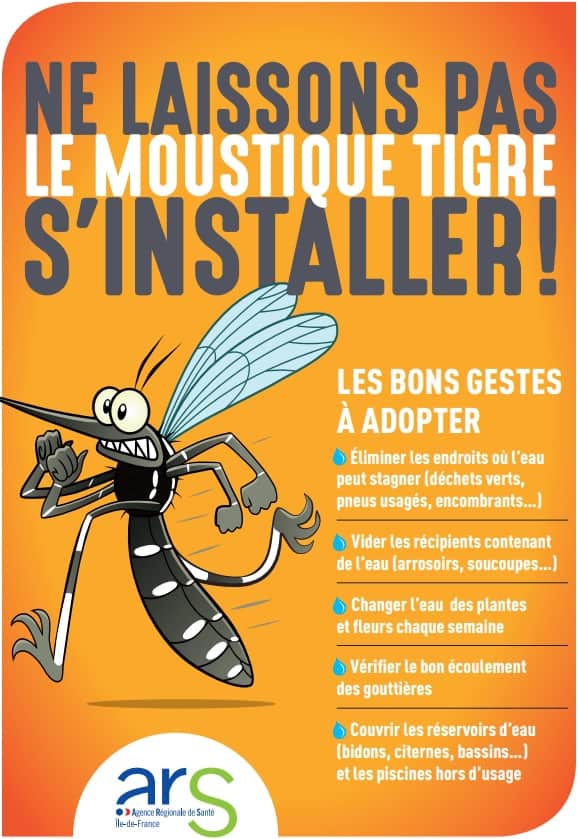 Installation moustique tigre en france