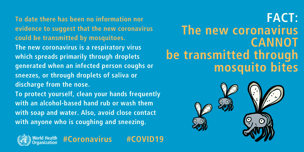 coronavirus moustique