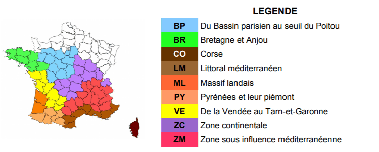 carte chenille processionnaire