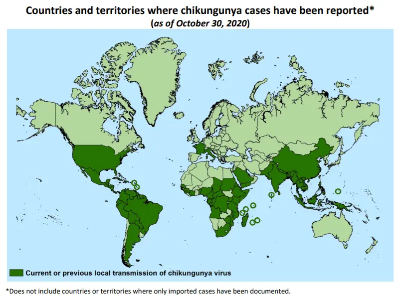 carte monde du Chikungunya