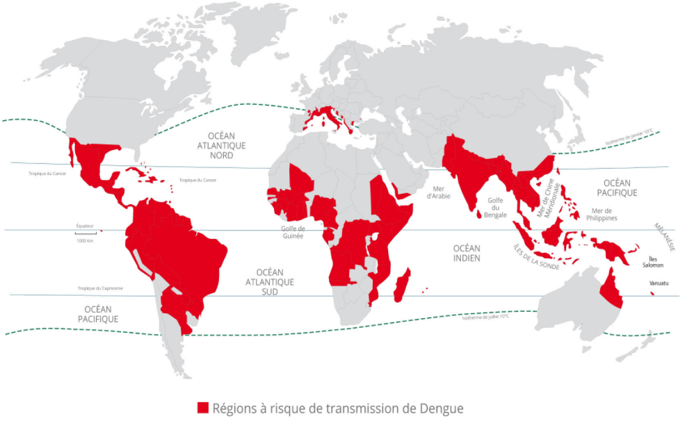 carte dengue dans le monde