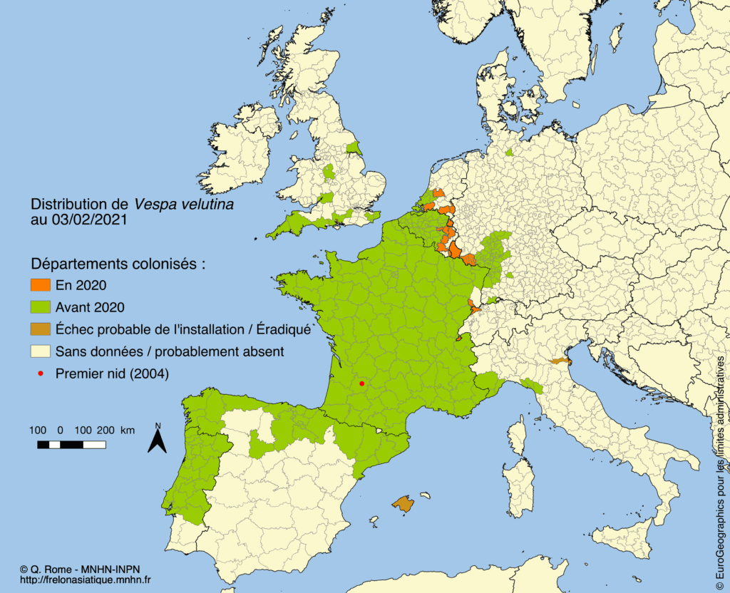 carte de France de la colonisation du frelon asiatique