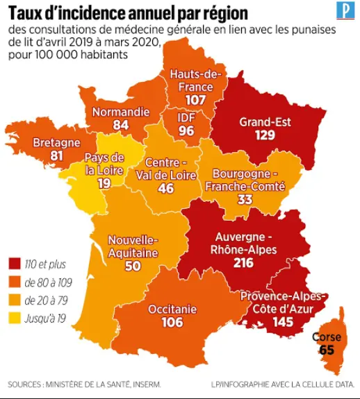 Punaises de lit en France