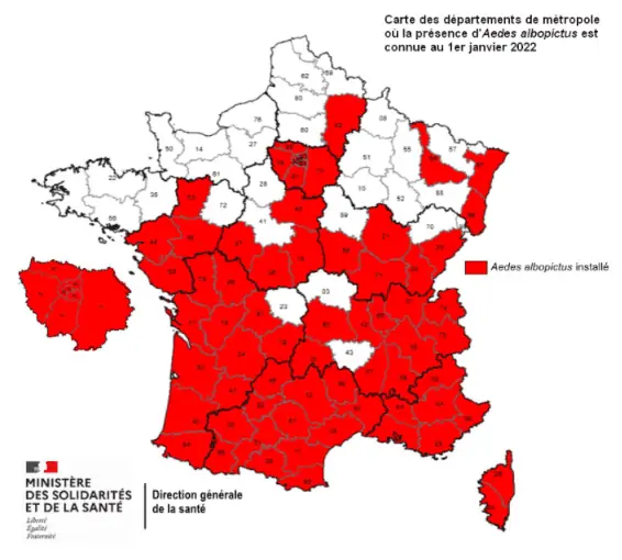 Carte Moustique en 2022